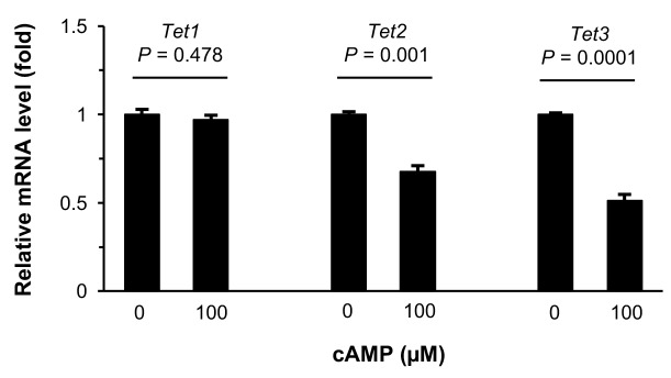 Figure 1—figure supplement 4.