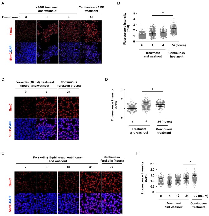 Figure 1—figure supplement 3.