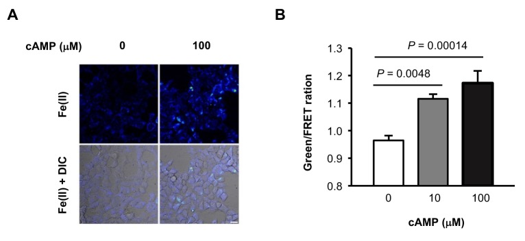 Figure 2—figure supplement 3.