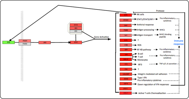 Figure 6