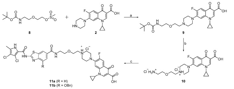 Scheme 3