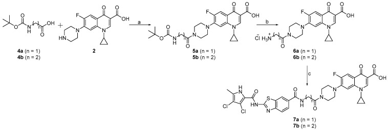 Scheme 2