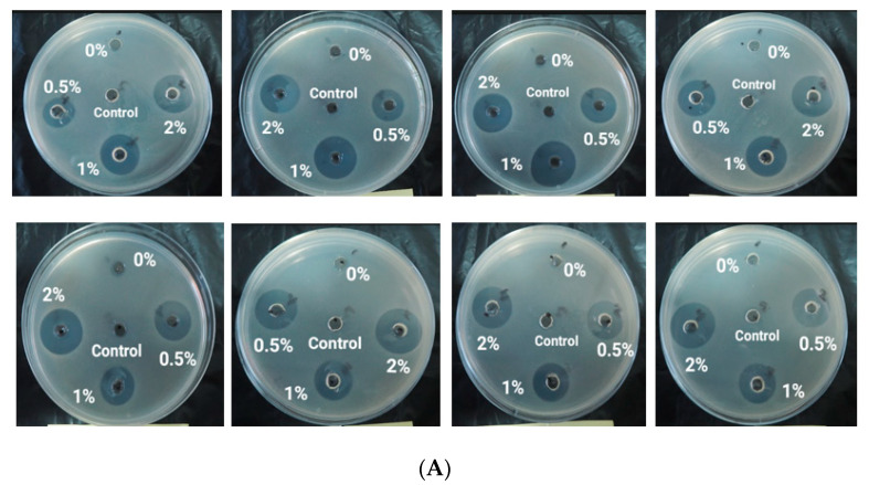 Figure 10