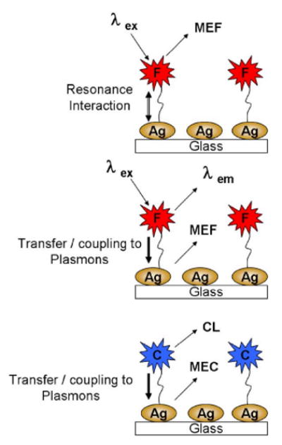 FIG. 1