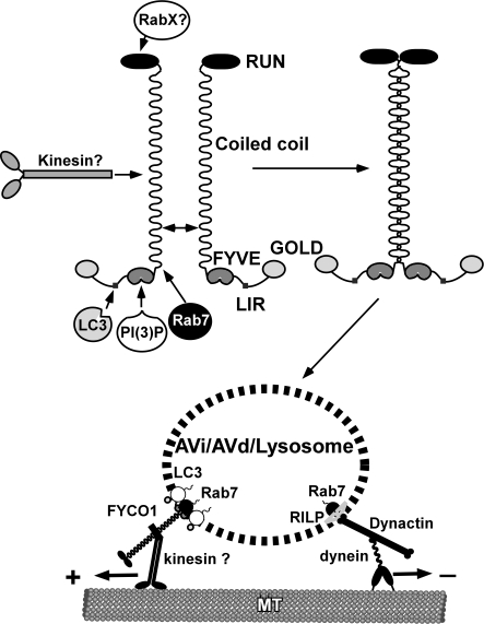 Figure 10.