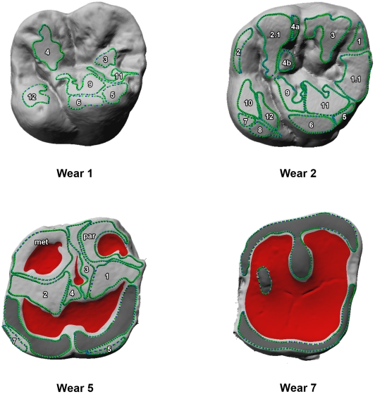 Figure 4