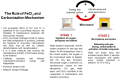 Figure 23
