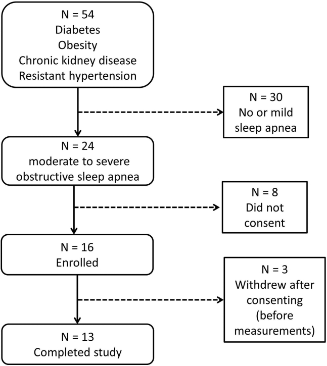 Figure 1