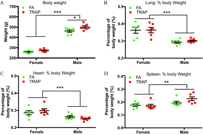 Figures 2A, 2B, 2C, and 2D are scatter dot graphs titled Body weight, Lung is to percentage of body Weight, Heart is to percentage of body Weight, and Spleen is to percentage of body Weight plotting Weight (grams), ranging from 200 to 700 in increments of 100, Percentage of body weight (percentage), ranging from 0.2 to 0.5 in unit increments, Percentage of body weight (percentage), ranging from 0.2 to 0.5 in unit increments, and Percentage of body weight (percentage), ranging from 0.0 to 0.4 in unit increments (y-axis) across female and male (x-axis) for filtered air and Traffic-related air pollution, respectively.