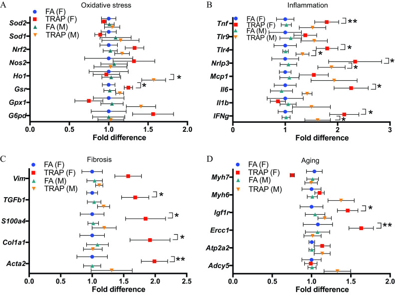 Figures 6A, 6B, 6C, and 6D are error bar graphs titled oxidative stress, inflammation, fibrosis, and aging plotting Superoxide dismutase 2, Superoxide dismutase 1, Nuclear factor erythroid 2-related factor 2, Nitric oxide synthase, Heme oxygenase, Glutathione-Disulfide Reductase, Glutathione peroxidase 1, Glucose-6-phosphate dehydrogenase; Tumour Necrosis Factor lowercase alpha, Toll-like receptor 9, Toll-like receptor 4, nucleotide-binding domain like receptor protein 3, monocyte chemoattractant protein-1, Interleukin 6, Interleukin 1 lowercase beta, and Interferon lowercase gamma; Vimentin, Transforming growth factor lowercase beta, S 100 calcium-binding protein A 4, Collagen Type I Alpha 1 Chain, actin alpha 2; and myosin 7, myosin 6, insulin-like growth factor 1 receptor, Ercc 1, Atp 2 a 2, and Adenyl cyclase 5 (y-axis) across fold difference, ranging from 0.0 to 2.0 in increments of 0.5; 0 to 3 in unit increments; 0.0 to 2.5 in increments of 0.5; and 0.0 to 2.0 in increments of 0.5 (x-axis) for filtered air (female), Traffic-related air pollution (female), filtered air (male), and Traffic-related air pollution (male), respectively.