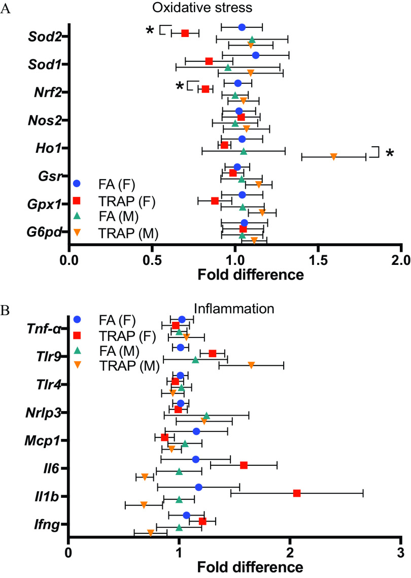 Figures 5A and 5B are error bar graphs titled oxidative stress and inflammation plotting Superoxide dismutase 2, Superoxide dismutase 1, Nuclear factor erythroid 2-related factor 2, Nitric oxide synthase, Heme oxygenase, Glutathione-Disulfide Reductase, Glutathione peroxidase 1, and Glucose-6-phosphate dehydrogenase, and Tumour Necrosis Factor lowercase alpha, Toll-like receptor 9, Toll-like receptor 4, nucleotide-binding domain like receptor protein 3, monocyte chemoattractant protein-1, Interleukin 6, Interleukin 1 lowercase beta, and Interferon lowercase gamma (y-axis) across fold difference, ranging from 0.0 to 2.0 in increments of 0.5 and 0 to 3 in unit increments (x-axis) for filtered air (female), Traffic-related air pollution (female), filtered air (male), and Traffic-related air pollution (male), respectively.