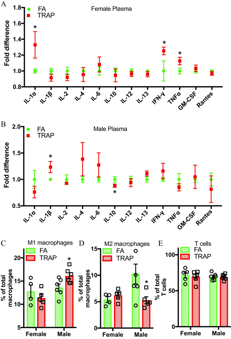 Figures 8A and 8B are error bar graphs titled Female Plasma and Male Plasma plotting Fold difference, ranging from 0.8 to 1.8 in increments of 0.2 and 0.5 to 2.0 in increments of 0.5 (y-axis) across Interleukin 1 lowercase alpha, Interleukin 1 lowercase beta, Interleukin 2, Interleukin 4, Interleukin 6, Interleukin 10, Interleukin 12, Interleukin 13, Interferon lowercase gamma, Tumour Necrosis Factor alpha, Granulocyte-macrophage colony-stimulating factor, and Rantes (x-axis) for filtered air and Traffic-related air pollution, respectively. Figure 8C, 8D, and 8E are clustered bar graphs titled M 1 macrophages, M 2 macrophages, and T cells plotting percentage of total macrophages, ranging from 5 to 20 in increments of 5, percentage of total macrophages, ranging from 0 to 15 in increments of 5, and percentage of total T cells 0 to 100 in increments of 50 (y-axis) across female and male (x-axis) for filtered air and Traffic-related air pollution, respectively.