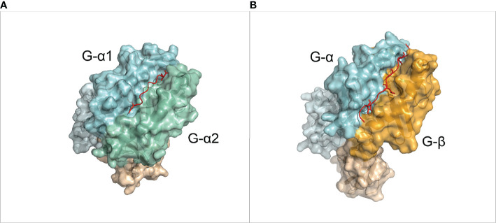 Figure 1