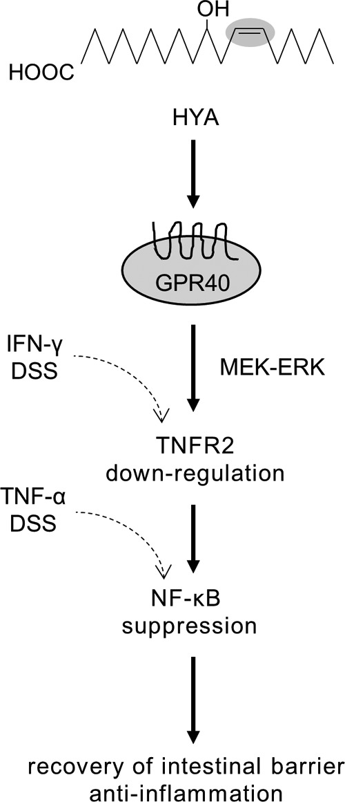 FIGURE 12.