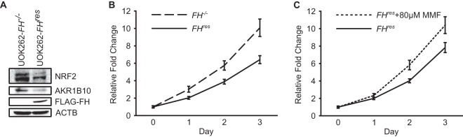 FIG 1