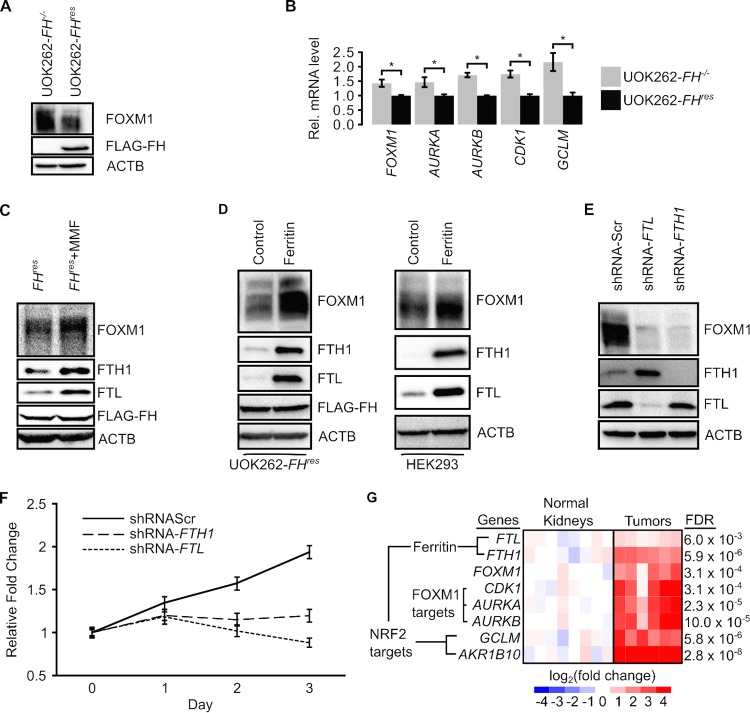 FIG 6