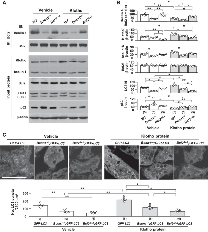 Fig. 9.