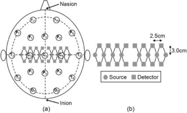 Fig. 1