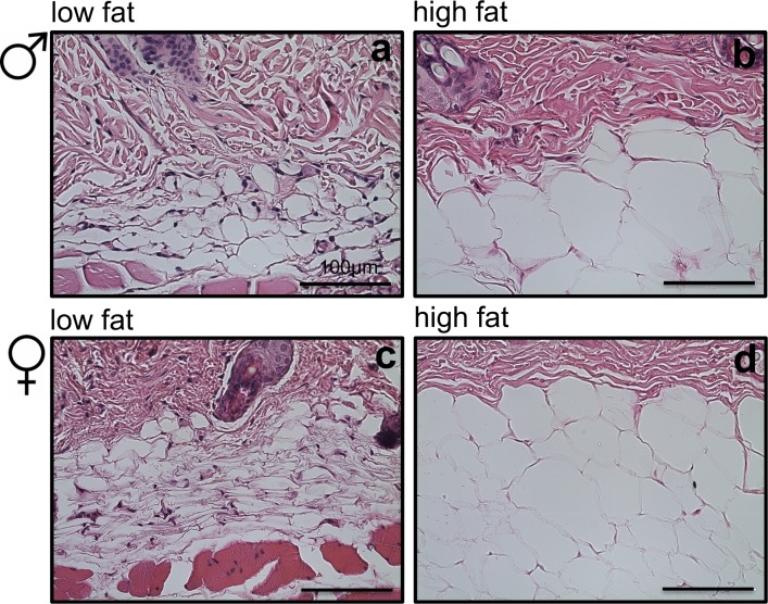 Fig 5