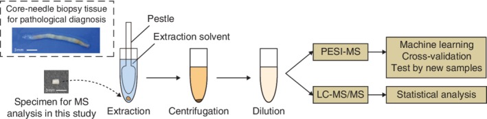 BJS-11613-FIG-0001-c