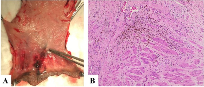 Fig. 4