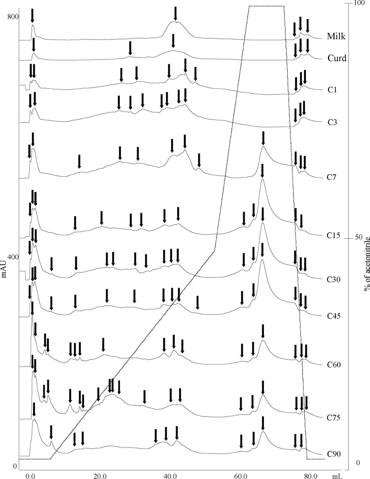 FIG 1