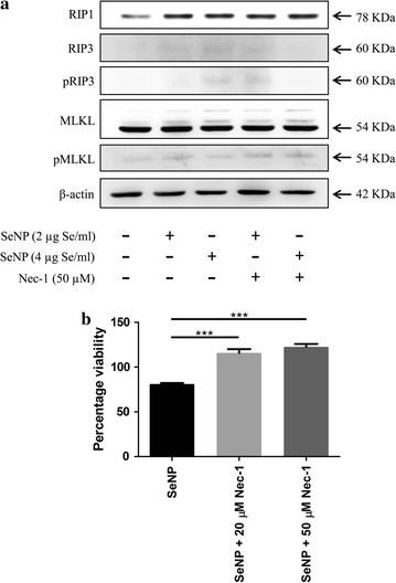 Fig. 7