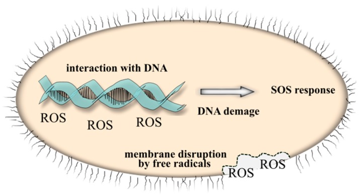 Figure 11