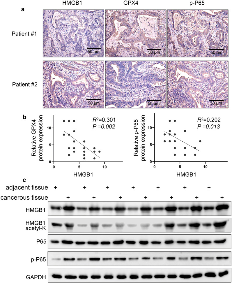 Fig. 6