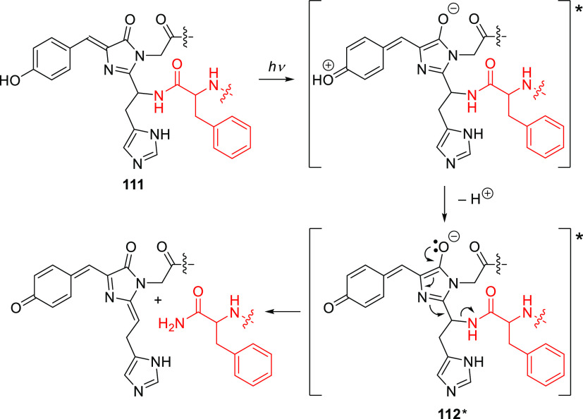 Scheme 30