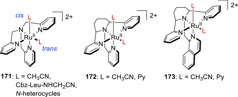 Figure 24