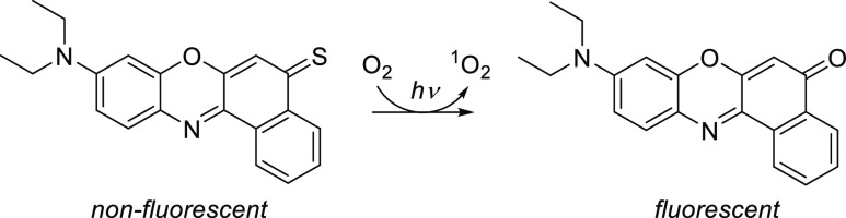 Scheme 95