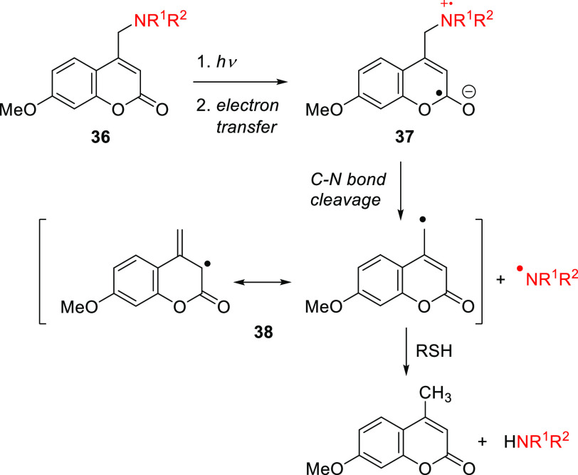 Scheme 7