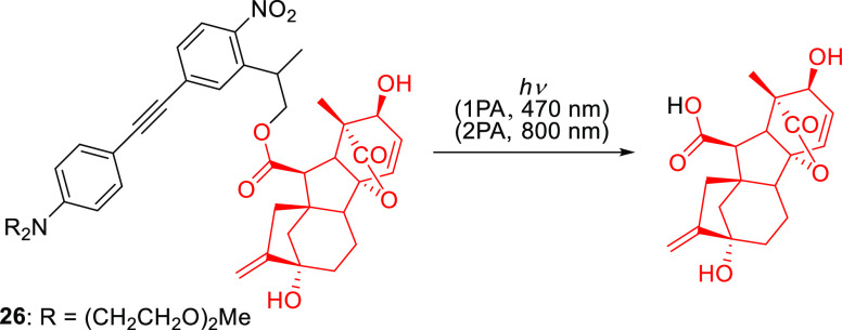 Scheme 4