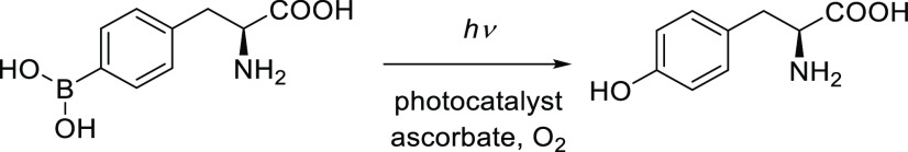 Scheme 92