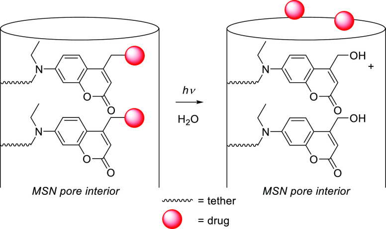 Scheme 110