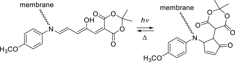 Scheme 116