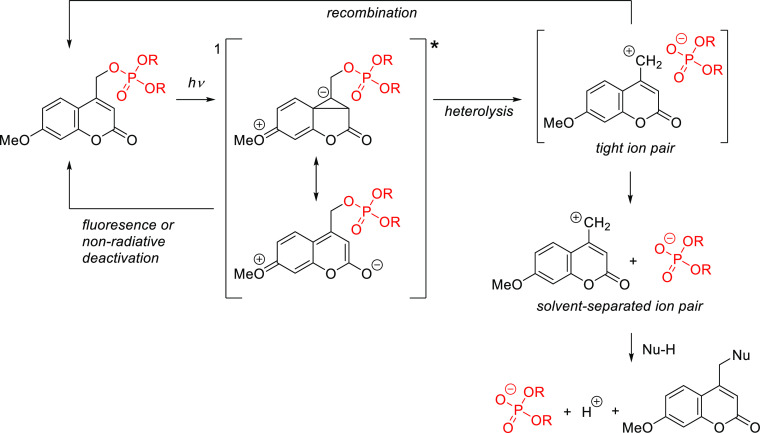 Scheme 6