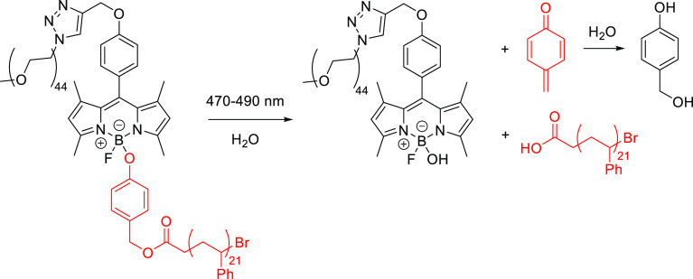 Scheme 109