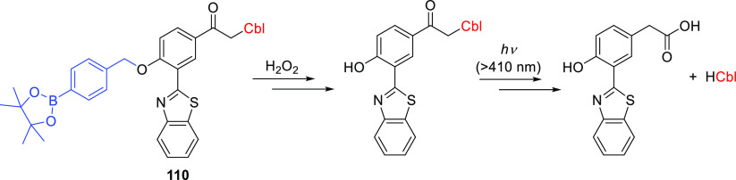 Scheme 29