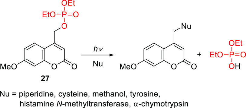 Scheme 5