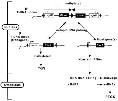 FIG. 6