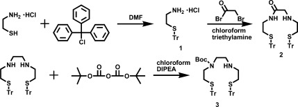 Scheme 1