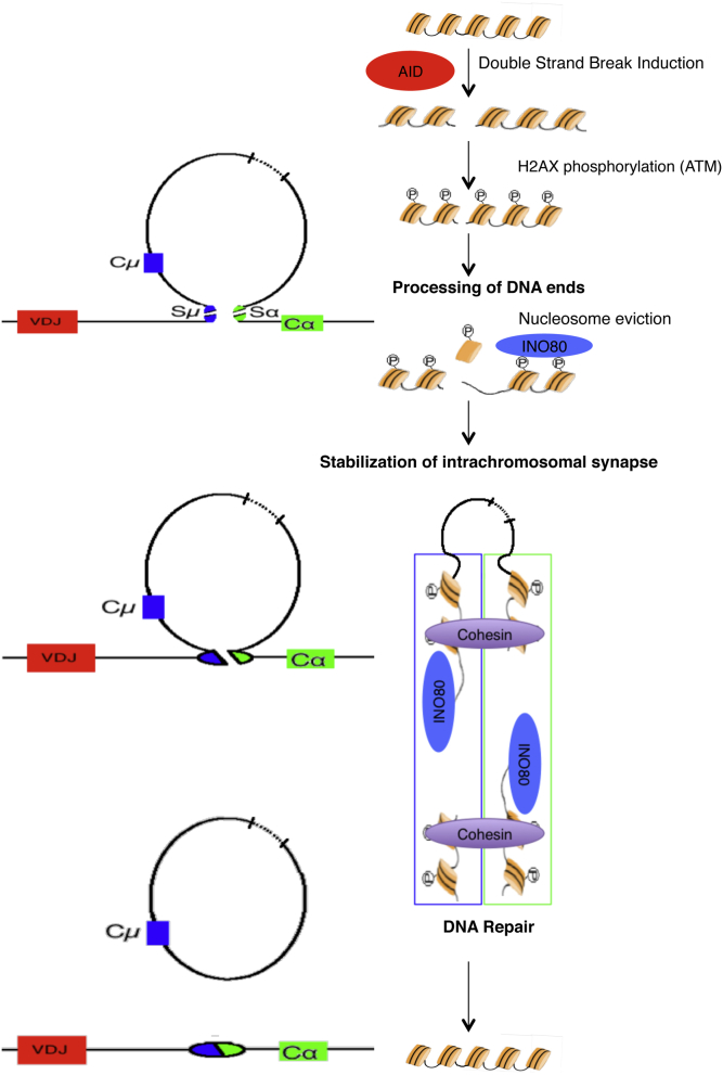 Fig 6