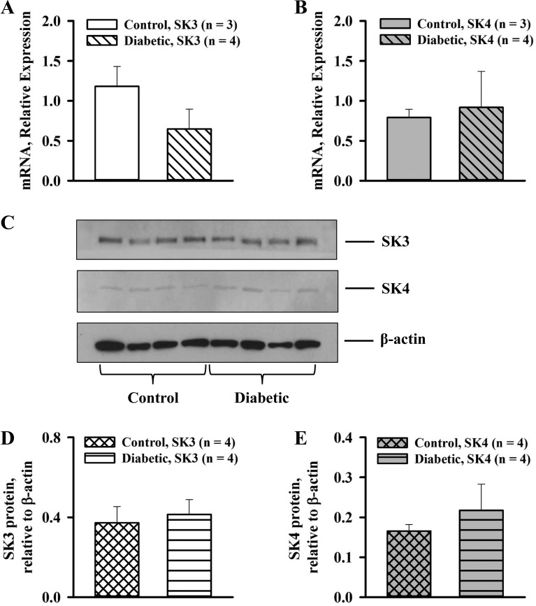 Fig. 10.