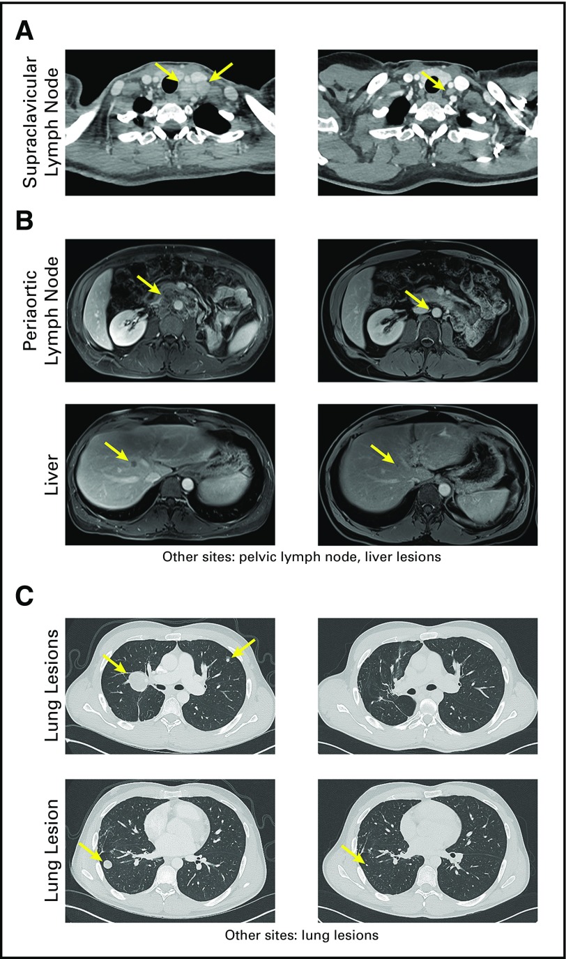 Fig 1.