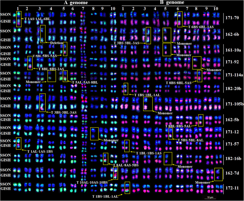 Fig. 6