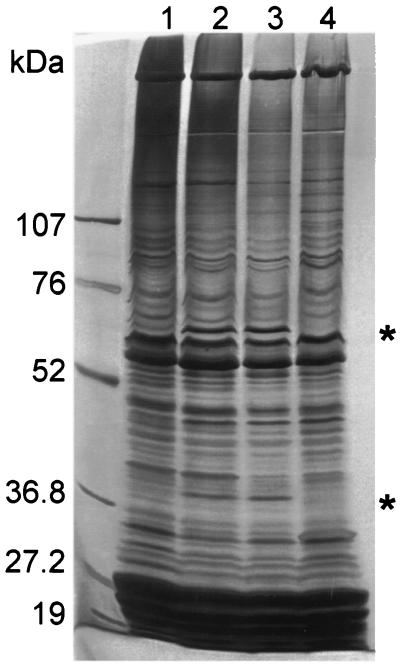 FIG. 6