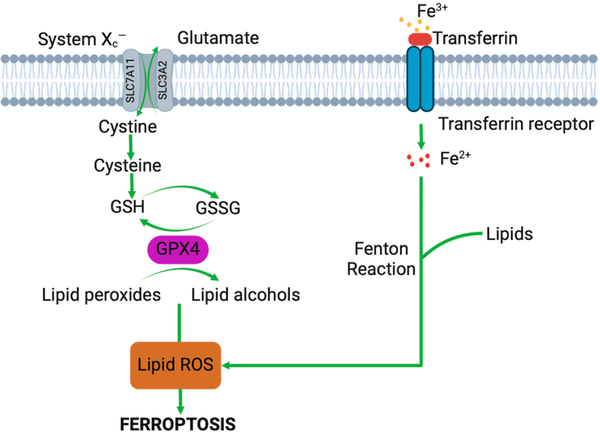 Figure 3.