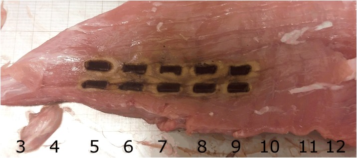 Fig 2